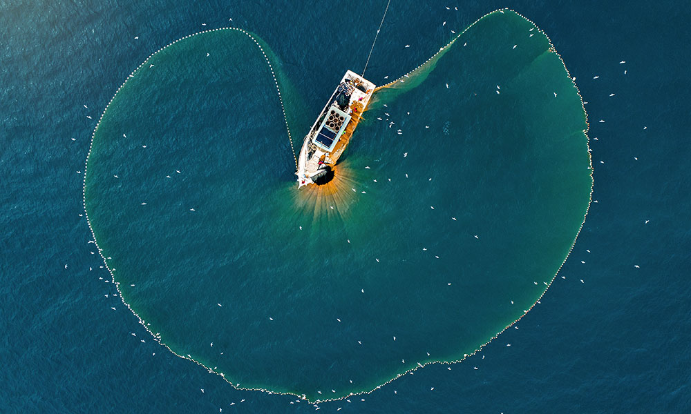 Boat and net from above
